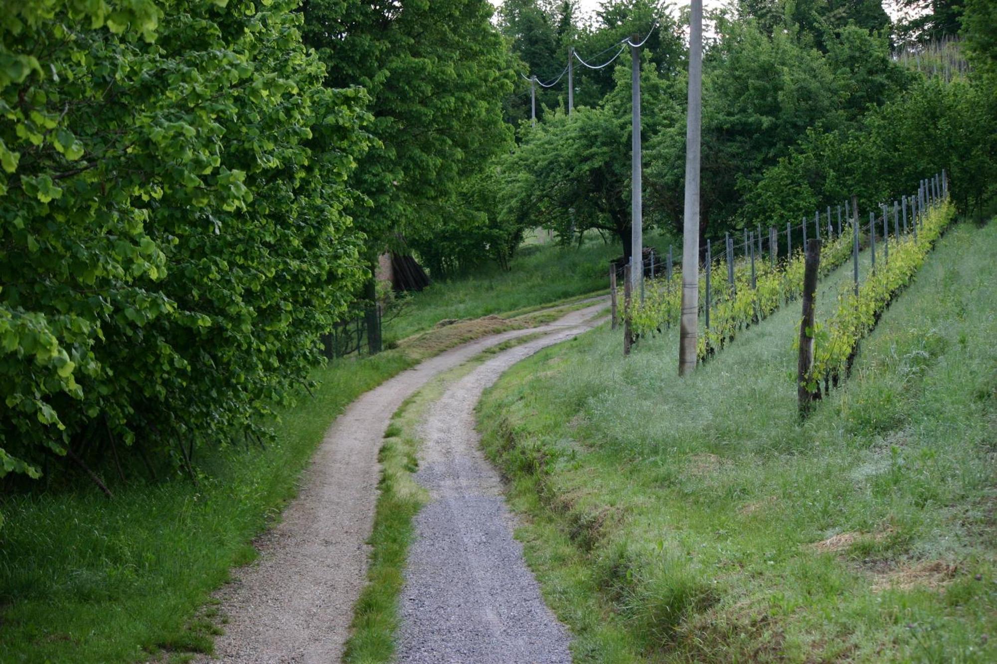 Cascina La Corte * Neive