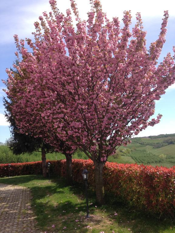 Cascina La Corte Frühstückspension Neive