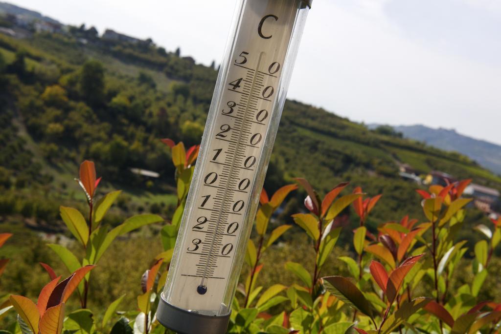 Cascina La Corte Frühstückspension Neive